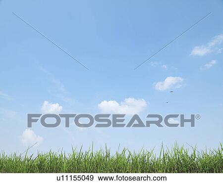 Blue Sky Over Grass View Large Photo Image Stock Photo - Blue Sky Over Grass. Fotosearch