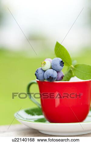 Blueberries in Red Cup View Large Photo Image Stock Photo - Blueberries in Red Cup. Fotosearch