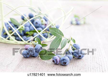 Blueberries View Large Photo Image Stock Image - Blueberries. Fotosearch