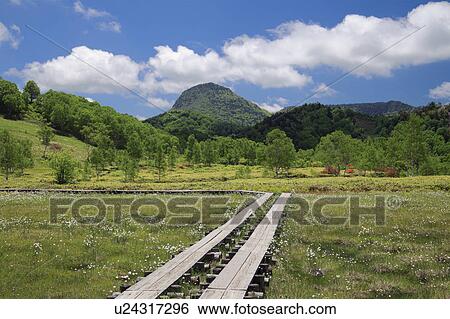 Stock Photograph - Boardwalk at Tanohara Marsh, Mount Kasadake in Background. Fotosearch