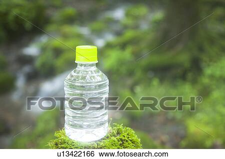 Bottle on Moss View Large Photo Image Stock Photograph - Bottle on Moss. Fotosearch