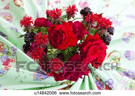 Bouquet of Pincushion Flowers, Roses View Large Photo Image Stock Photograph - Bouquet of Pincushion Flowers, Roses. Fotosearch