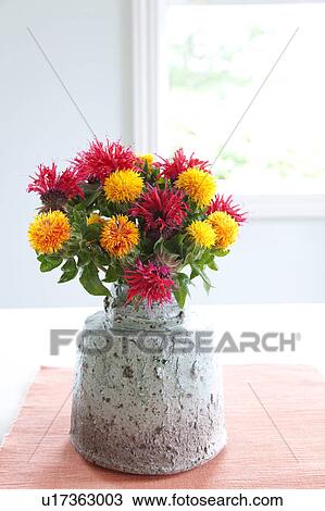 Bunch of Bergamont Flowers in Vase View Large Photo Image Stock Image - Bunch of Bergamont Flowers in Vase. Fotosearch