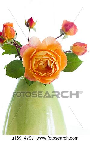 Stock Photo - Bunch of Orange Roses. Fotosearch