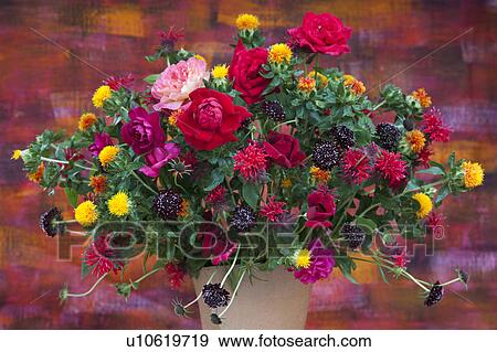 Bunch of Red Roses View Large Photo Image Stock Photo - Bunch of Red Roses. Fotosearch