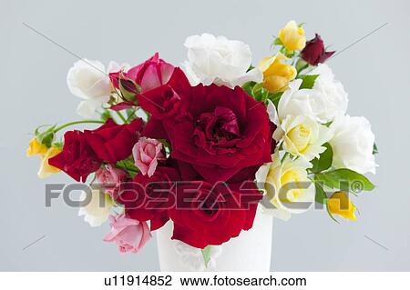 Bunch of Roses View Large Photo Image Stock Image - Bunch of Roses. Fotosearch