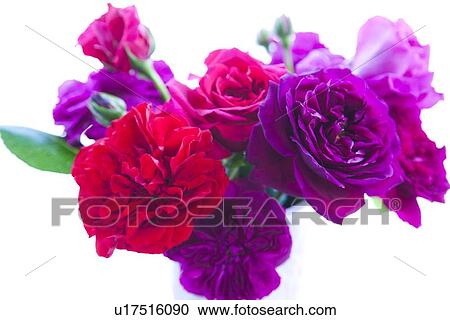 Bunch of Roses View Large Photo Image Stock Image - Bunch of Roses. Fotosearch