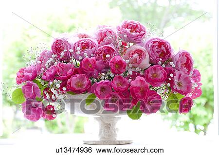 Bunch of Roses View Large Photo Image Stock Photograph - Bunch of Roses. Fotosearch