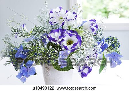 Bunch of Tulip Gentians and Hydrangeas Flowers View Large Photo Image Stock Image - Bunch of Tulip Gentians and Hydrangeas Flowers. Fotosearch