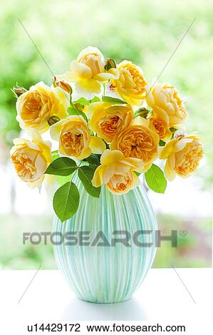 Bunch of Yellow Roses View Large Photo Image Stock Image - Bunch of Yellow Roses. Fotosearch