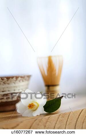 Camellia Flower and Japanese Tea Set View Large Photo Image Stock Photo - Camellia Flower and Japanese Tea Set. Fotosearch