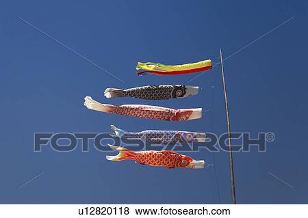 Stock Photo - Carp Steamers. Fotosearch