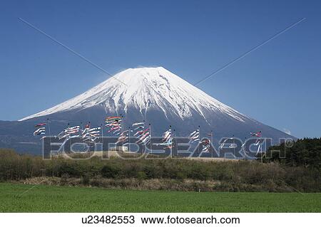 Carp Streamers and Mount Fuji View Large Photo Image Stock Image - Carp Streamers and Mount Fuji. Fotosearch