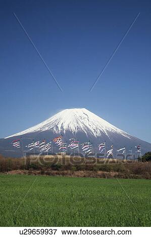 Stock Photo - Carp Streamers and Mount Fuji. Fotosearch
