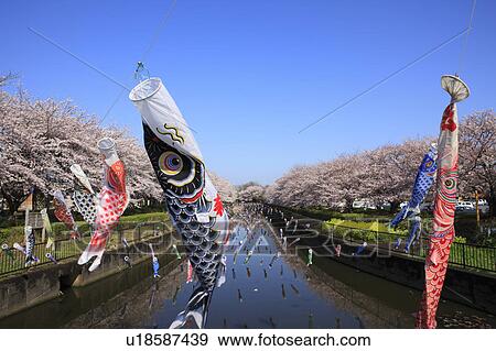 Carp Streamers Decorating River View Large Photo Image Stock Photo - Carp Streamers Decorating River. Fotosearch
