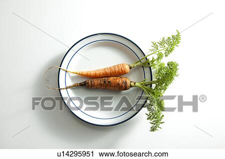 Carrot on Plate View Large Photo Image Stock Image - Carrot on Plate. Fotosearch