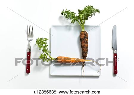 Carrot on Plate View Large Photo Image Stock Photography - Carrot on Plate. Fotosearch