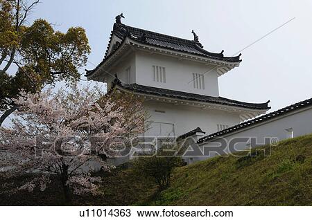 Stock Image - Cherry Blossom Tree and Ako Castle. Fotosearch