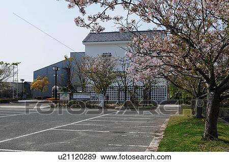 Stock Photo - Cherry Blossom Trees and Ako City Museum of History. Fotosearch