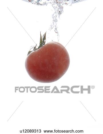Cherry tomato falling into water View Large Photo Image Stock Image - Cherry tomato falling into water. Fotosearch