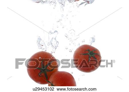 Cherry tomatoes falling into water View Large Photo Image Stock Image - Cherry tomatoes falling into water. Fotosearch