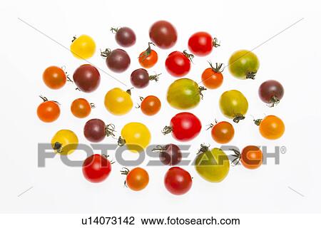 Cherry Tomatoes View Large Photo Image Stock Image - Cherry Tomatoes. Fotosearch