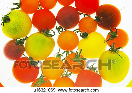 Stock Photo - Cherry Tomatoes. Fotosearch