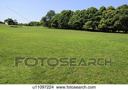 Picture - Chiba port park, Chiba Prefecture, Japan. Fotosearch