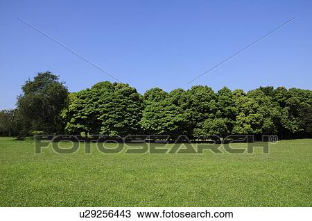 Chiba port park, Chiba Prefecture, Japan View Large Photo Image Stock Image - Chiba port park, Chiba Prefecture, Japan. Fotosearch