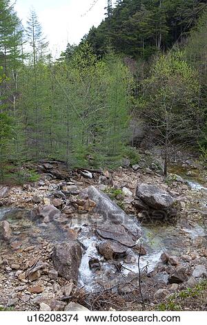 Picture - Chikuma River. Fotosearch