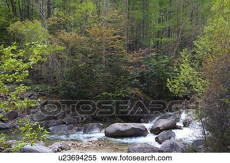 Stock Photography - Chikuma River. Fotosearch