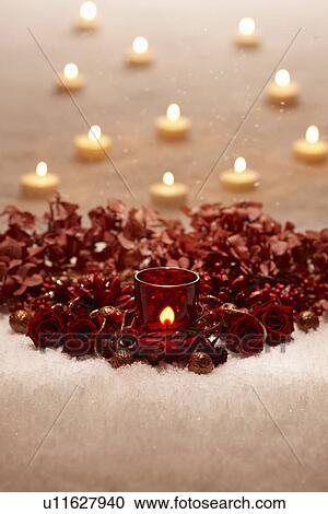 Christmas Roses and Candles View Large Photo Image Stock Image - Christmas Roses and Candles. Fotosearch