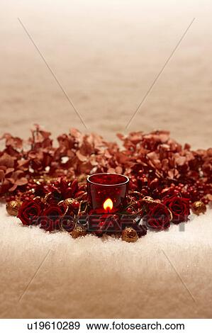 Christmas Roses and Candles View Large Photo Image Stock Photo - Christmas Roses and Candles. Fotosearch