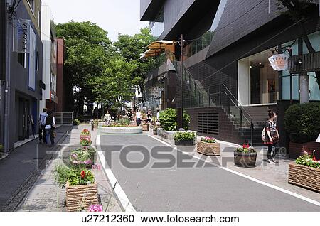 Cityscape of Shibuya Ward, Tokyo Prefecture, Japan View Large Photo Image Stock Image - Cityscape of Shibuya Ward, Tokyo Prefecture, Japan. Fotosearch