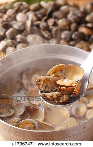 Clam Soup View Large Photo Image Stock Image - Clam Soup. Fotosearch