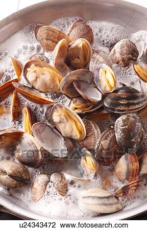 Clams Boiling View Large Photo Image Stock Image - Clams Boiling. Fotosearch
