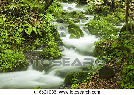 Close Up of Stream View Large Photo Image Stock Photograph - Close Up of Stream. Fotosearch