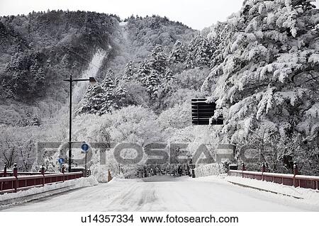 Picture - Country Road in Winter. Fotosearch