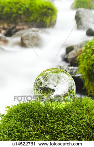 Crystal Ball on Moss View Large Photo Image Stock Image - Crystal Ball on Moss. Fotosearch