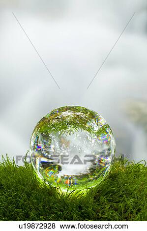 Stock Photo - Crystal Ball on Moss. Fotosearch