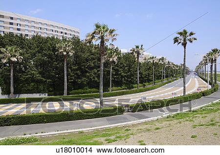 Picture - Curvy road in Maihama, Urayasu City, Chiba Prefecture, Honshu, Japan. Fotosearch