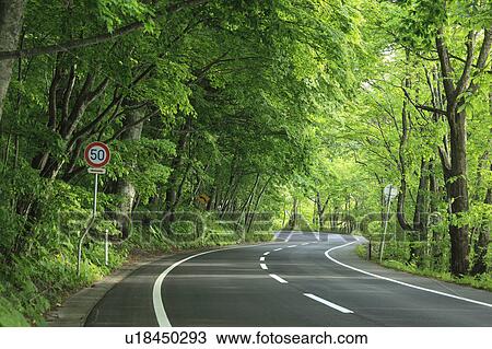 Curvy road View Large Photo Image Stock Image - Curvy road. Fotosearch