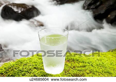 Picture - Drinking Glass on Moss. Fotosearch