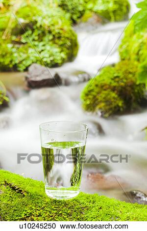 Stock Image - Drinking Glass on Moss. Fotosearch