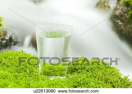 Drinking Glass on Moss View Large Photo Image Stock Image - Drinking Glass on Moss. Fotosearch