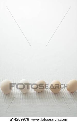 Stock Photo - Eggs. Fotosearch