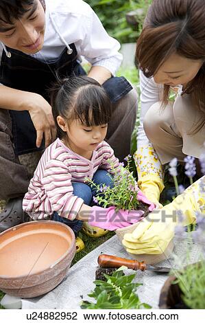 Stock Image - Family gardening. Fotosearch