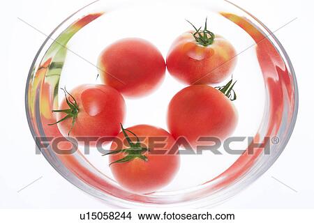 Five Tomatoes in Bowl of Water View Large Photo Image Picture - Five Tomatoes in Bowl of Water. Fotosearch