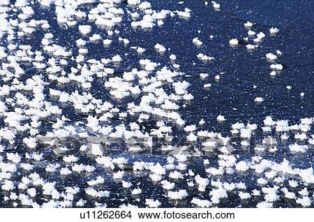 Picture - Flower Frost on Kussharo lake, Hokkaido Prefecture, Japan. Fotosearch