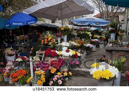 Flower Market View Large Photo Image Stock Image - Flower Market. Fotosearch